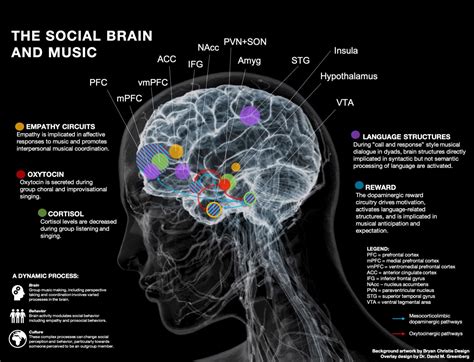 can deaf people hear music? the impact of music on the brain