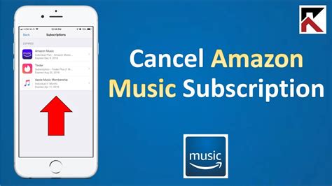 How to Cancel Amazon Music: A Symphony of Unrelated Thoughts