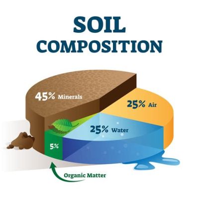 how to test soil composition and why it's crucial for growing healthy plants